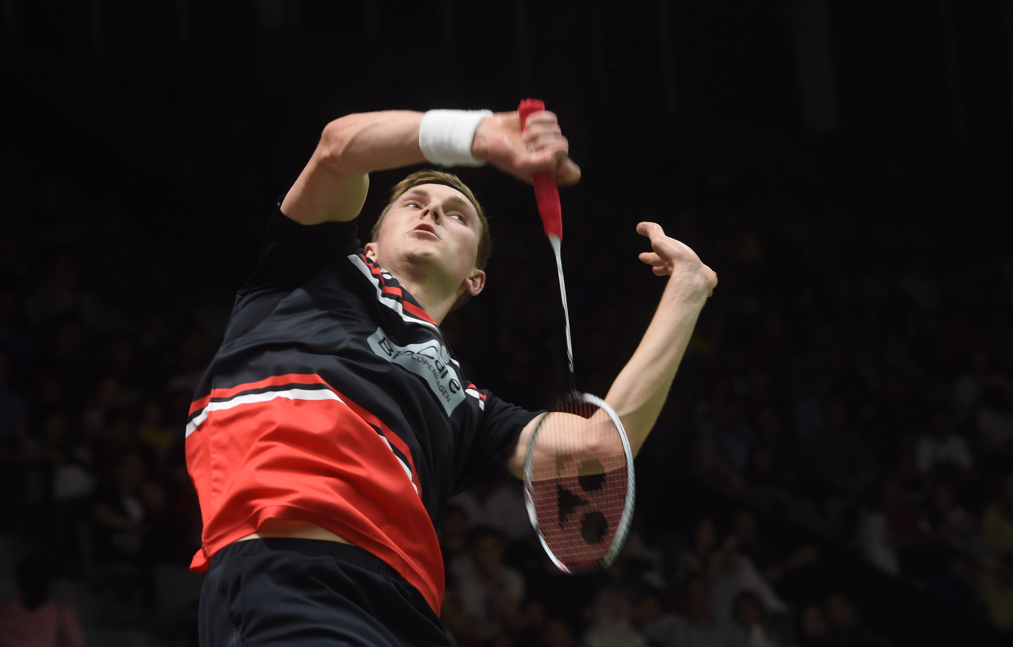 最终的赢家 最终的赢家