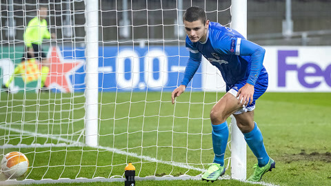 大地上的又 大地上的又