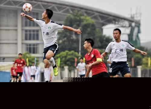 这份